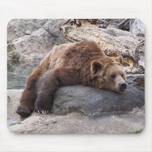 Grizzly Bear Resting On Rock Mouse Mat (Front)