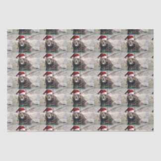 Grizzly Bear Santa Claus Tissue Paper