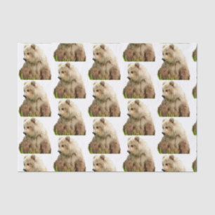 grizzly bear Tissue Paper