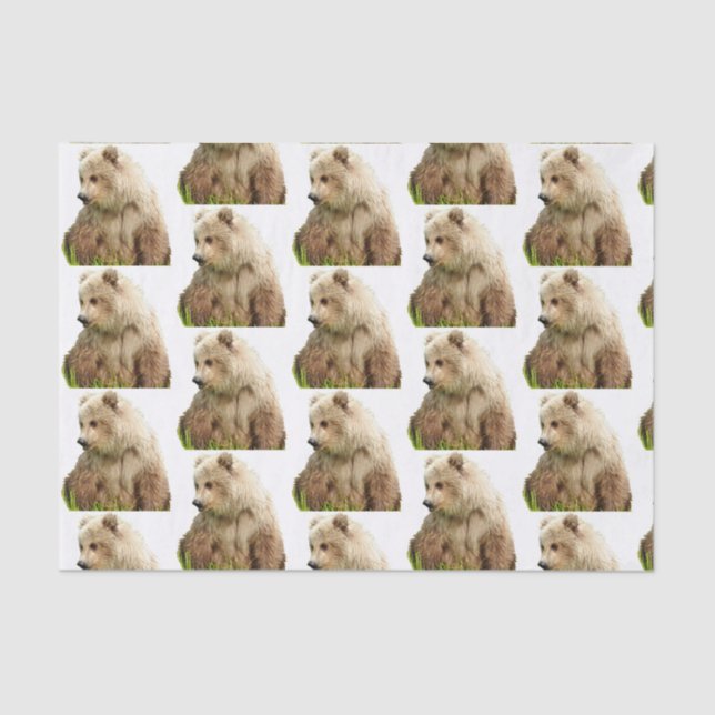 grizzly bear Tissue Paper (Front)