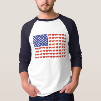 Grizzly Bear USA Flag T-Shirt