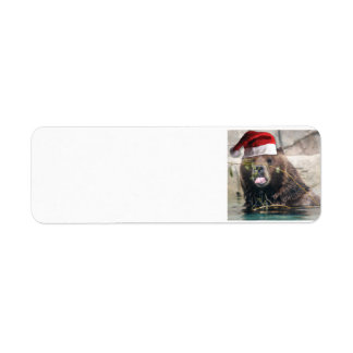 Grizzly Bear Wearing a Santa Claus Hat