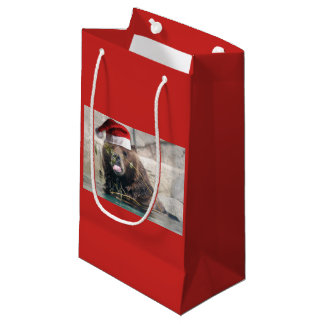 Grizzly Bear Wearing a Santa Claus Hat Small Gift Bag