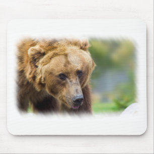 Grizzly Bear White Border Mouse Mat