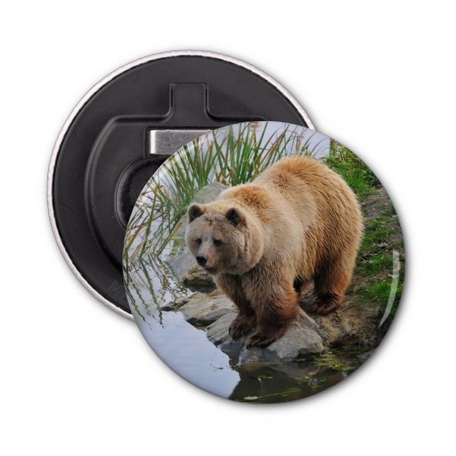Grizzly Bear Wildlife Animal Photograph Bottle Opener (Front)