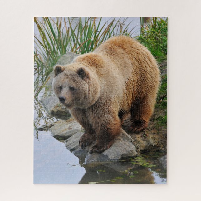 Grizzly Bear Wildlife Animal Photograph Jigsaw Puzzle (Vertical)