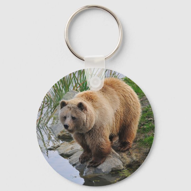 Grizzly Bear Wildlife Animal Photograph Key Ring (Front)