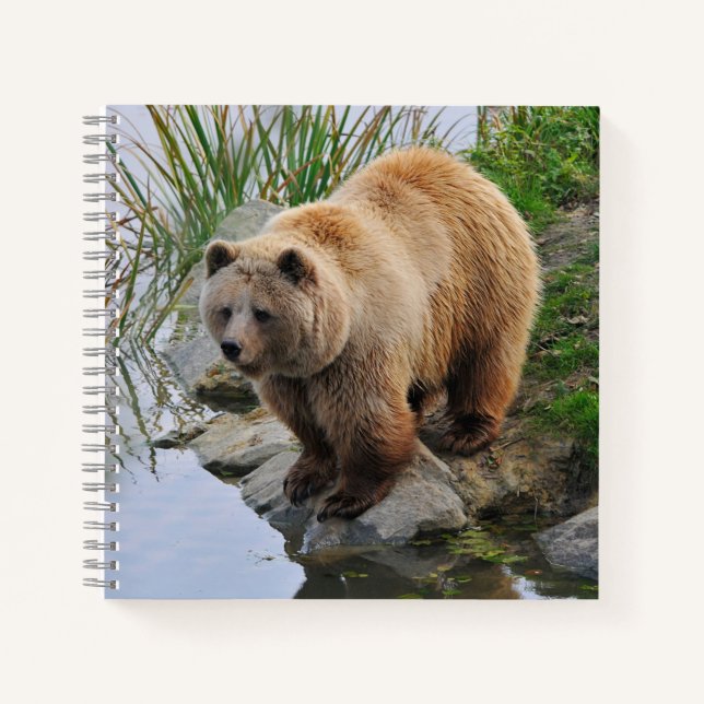 Grizzly Bear Wildlife Animal Photograph Notebook (Front)