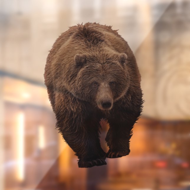 GRIZZLY BEAR WINDOW CLING (Sheet 2)