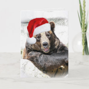 Grizzly Bear With Christmas Hat Holiday Card