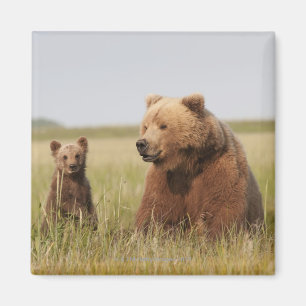 Grizzly Bear with Cub Magnet