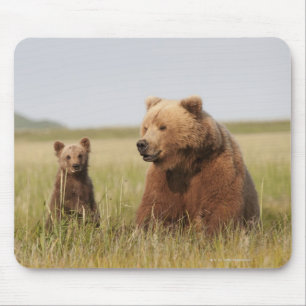 Grizzly Bear with Cub Mouse Mat