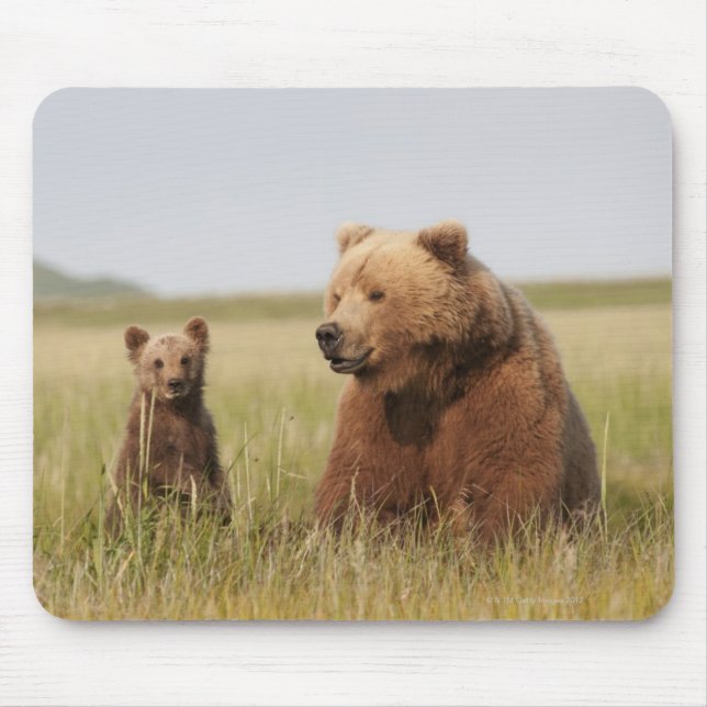 Grizzly Bear with Cub Mouse Mat (Front)