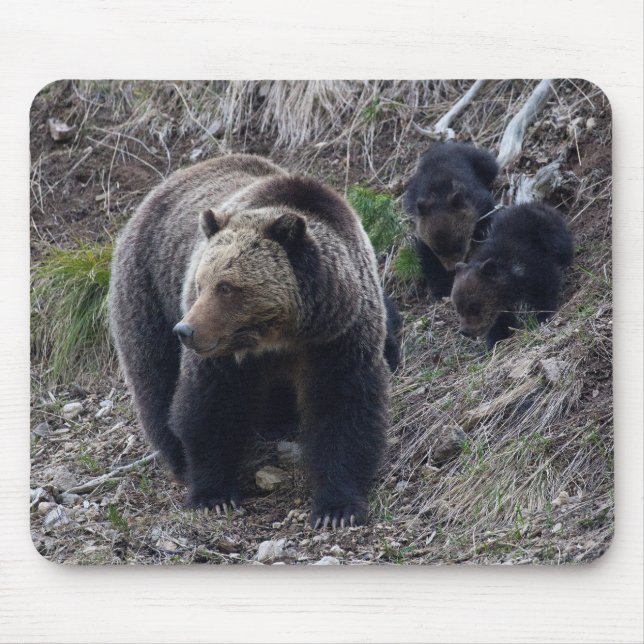 Grizzly Bear with Cubs Mousepad (Front)