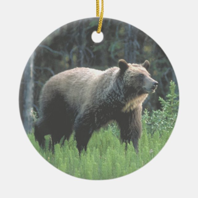 Grizzly Bear Woods Ornament (Front)
