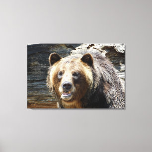 Grizzly Bear Wrapped Canvas Print