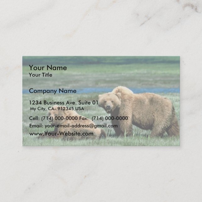 Grizzly Bears Business Card (Front)