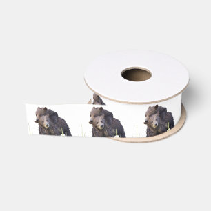 grizzly bears grosgrain ribbon