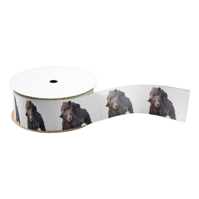 grizzly bears grosgrain ribbon (Spool)