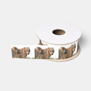 grizzly bears grosgrain ribbon