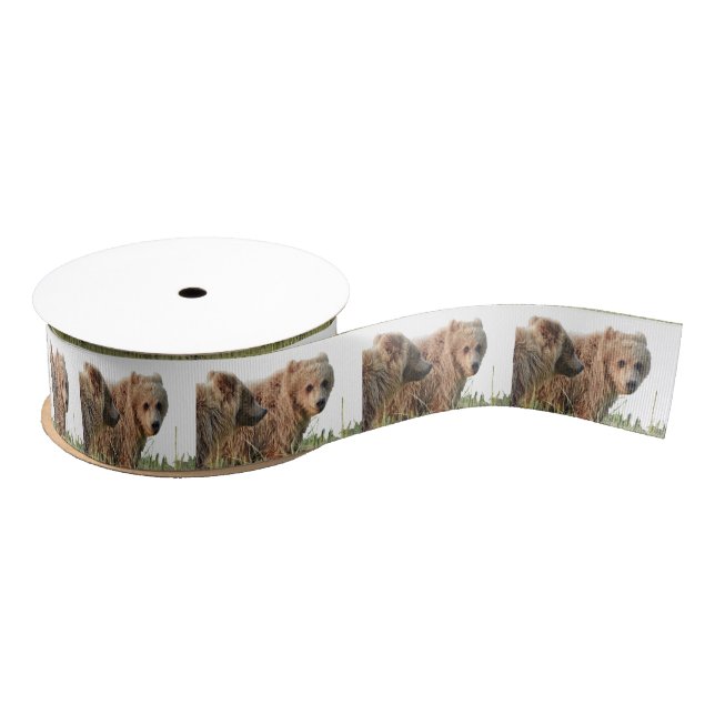grizzly bears grosgrain ribbon (Spool)