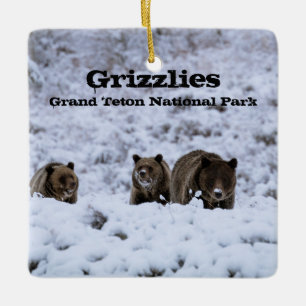 Grizzly Bears in Snow Grand Teton National Park Ceramic Ornament