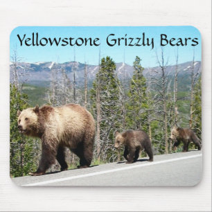 Grizzly Bears of Yellowstone Mouse Mat