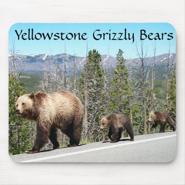 Grizzly Bears of Yellowstone Mouse Mat (Front)