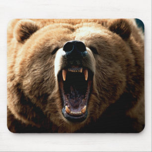 Grizzly Beer Feeling Mouse Pad
