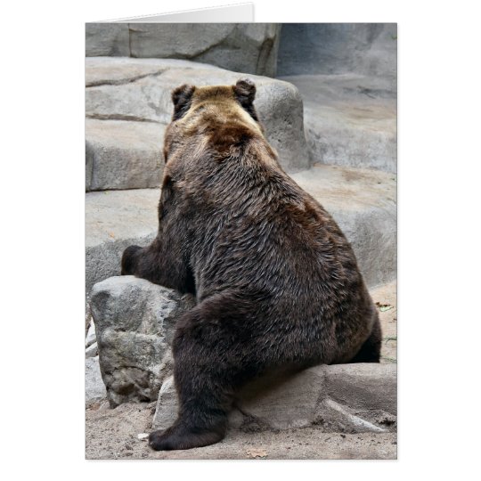 Grizzly Birthday Bear Card