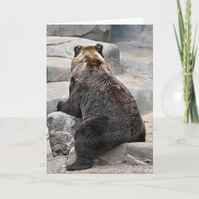 Grizzly Birthday Bear Card (Front)
