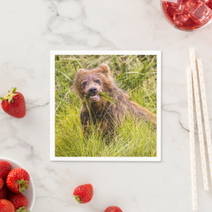 Grizzly cub grazing, Alaska Napkin