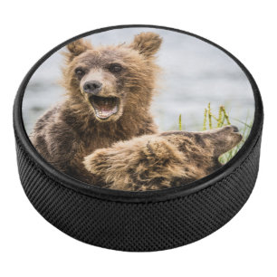 Grizzly Cubs Looking For Their Mum Hockey Puck
