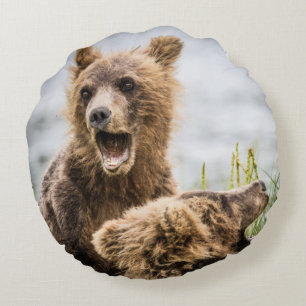 Grizzly Cubs Looking For Their Mum Round Cushion