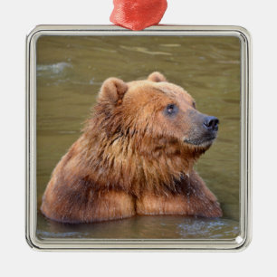 Grizzly in the water metal tree decoration