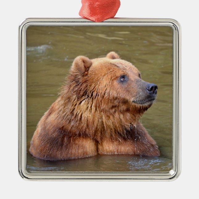 Grizzly in the water metal tree decoration (Front)