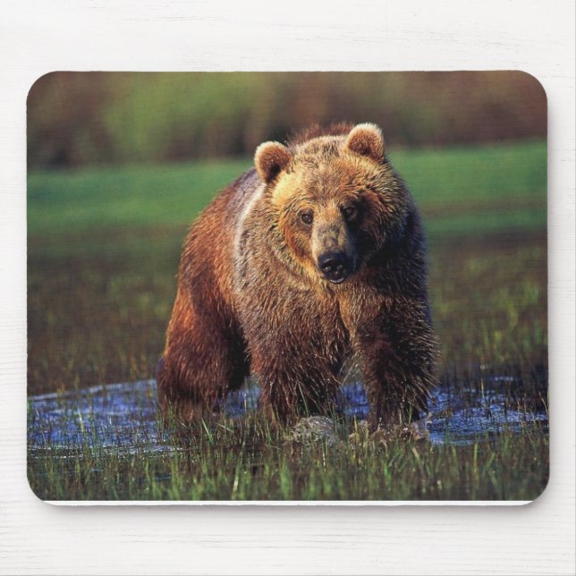 GRIZZLY IN WATER MOUSEPAD (Front)