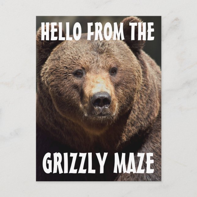 GRIZZLY MAZE GRIZZLY BEAR POSTCARDS (Front)