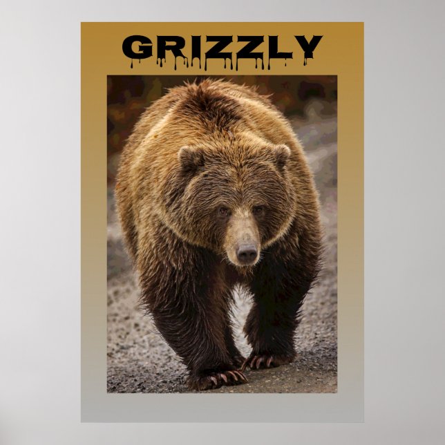 Grizzly Poster (Front)