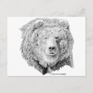 Grizzy Bear Postcard