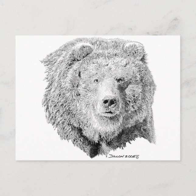 Grizzy Bear Postcard (Front)