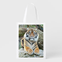 grocery bag Photo tiger cat. grocery bag