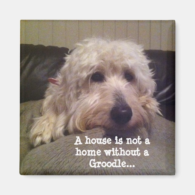 Groodle magnet (Front)