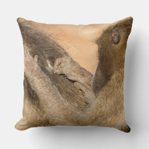 Grooming baboons cushion