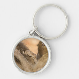 Grooming baboons key ring
