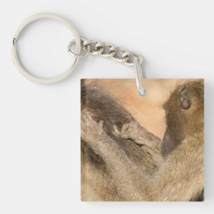 Grooming baboons key ring
