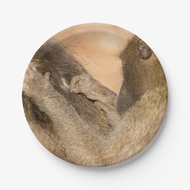 Grooming baboons paper plate (Front)