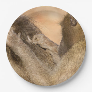 Grooming baboons paper plate