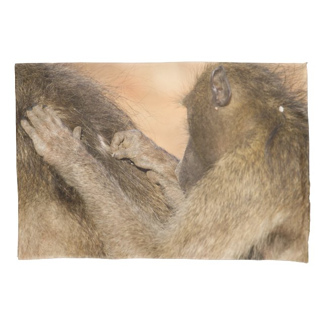 Grooming baboons pillowcase (Front)