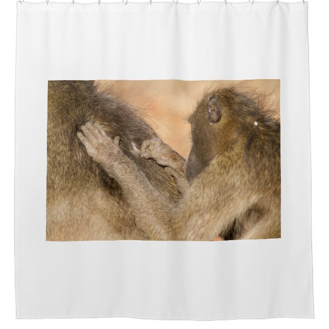 Grooming baboons shower curtain (Front)